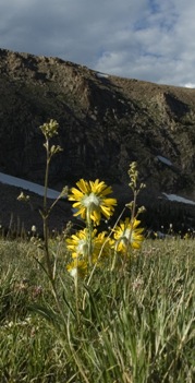 Panorama of three unnamed peaks