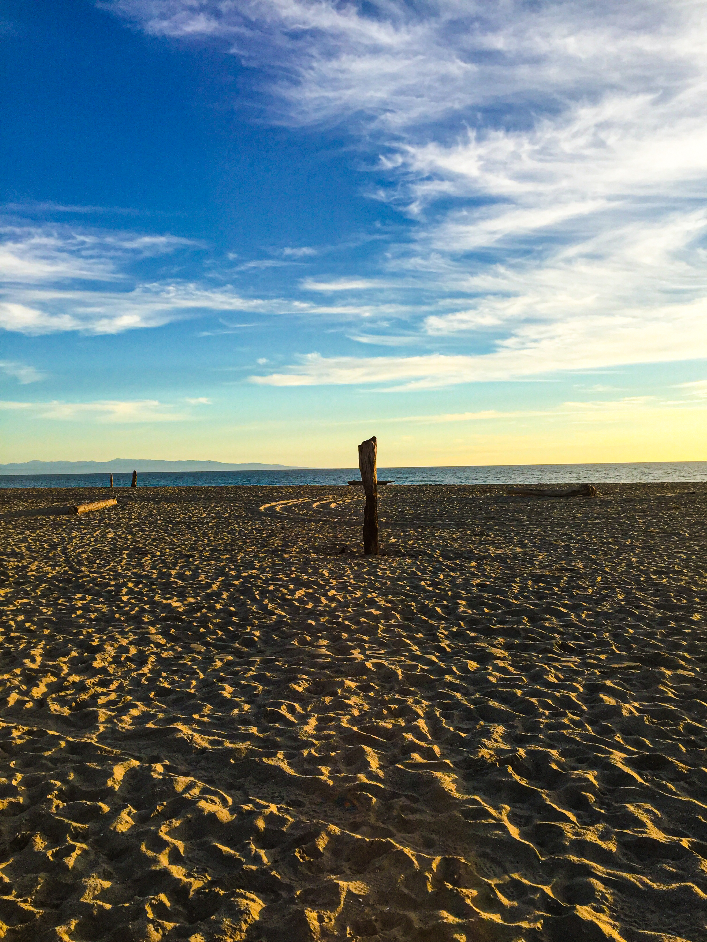 Evening on a sandy shore with light, wind-swept clouds and large pieces of driftwood.