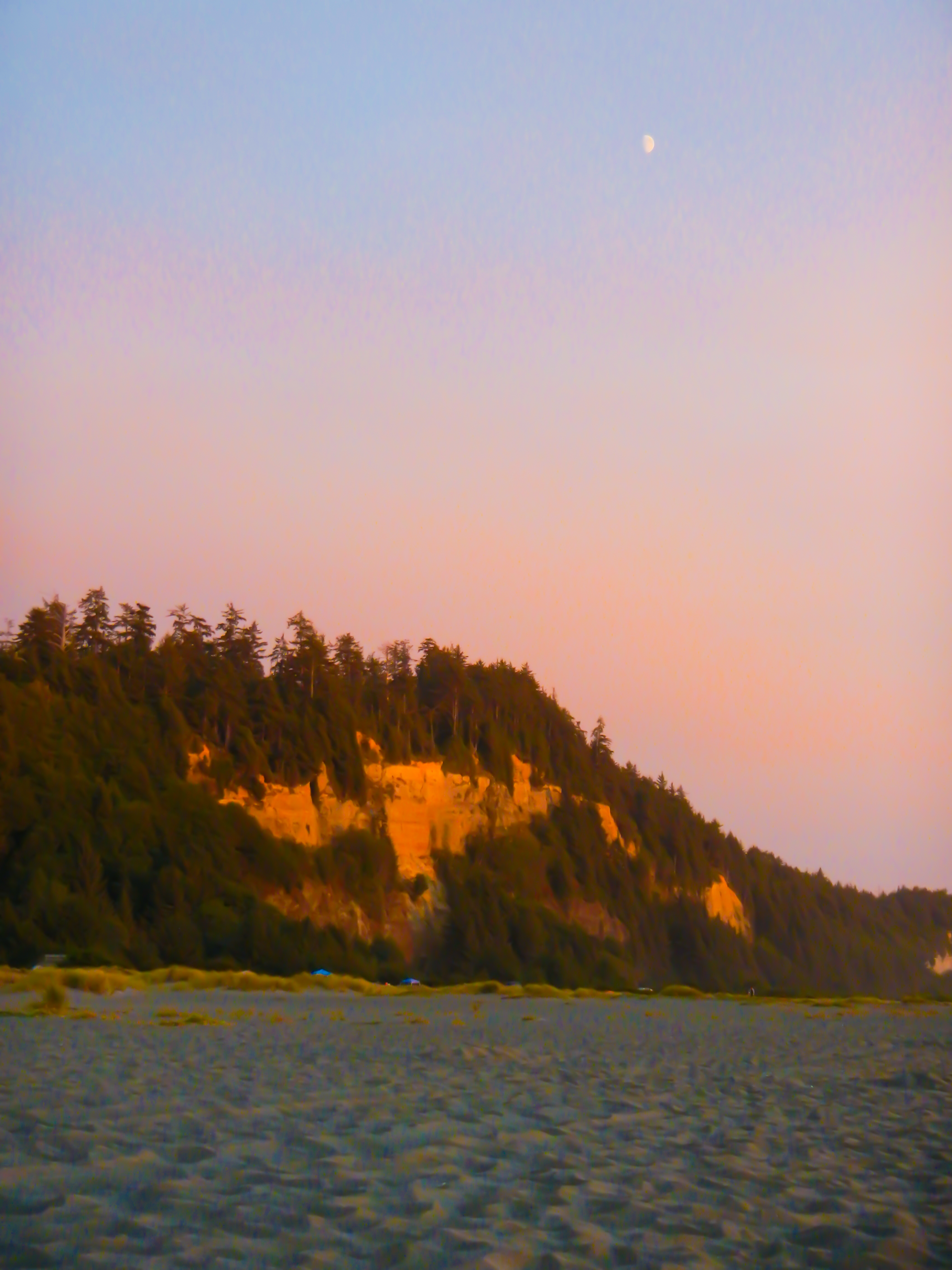 A tree-lined cliff down to a beach in the waning, evening light. A half moon hangs over the scene.