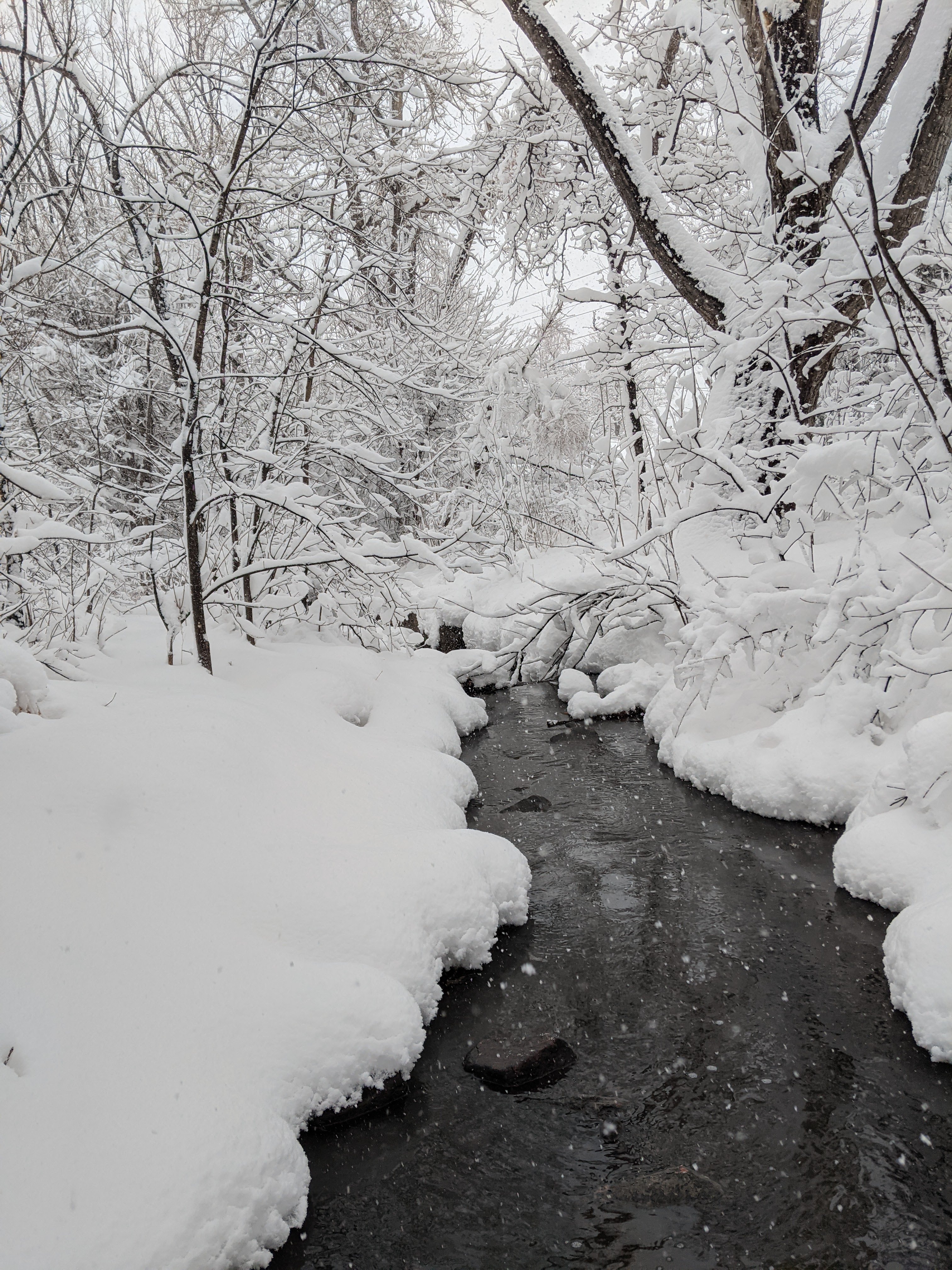 Snowy creek in early spring