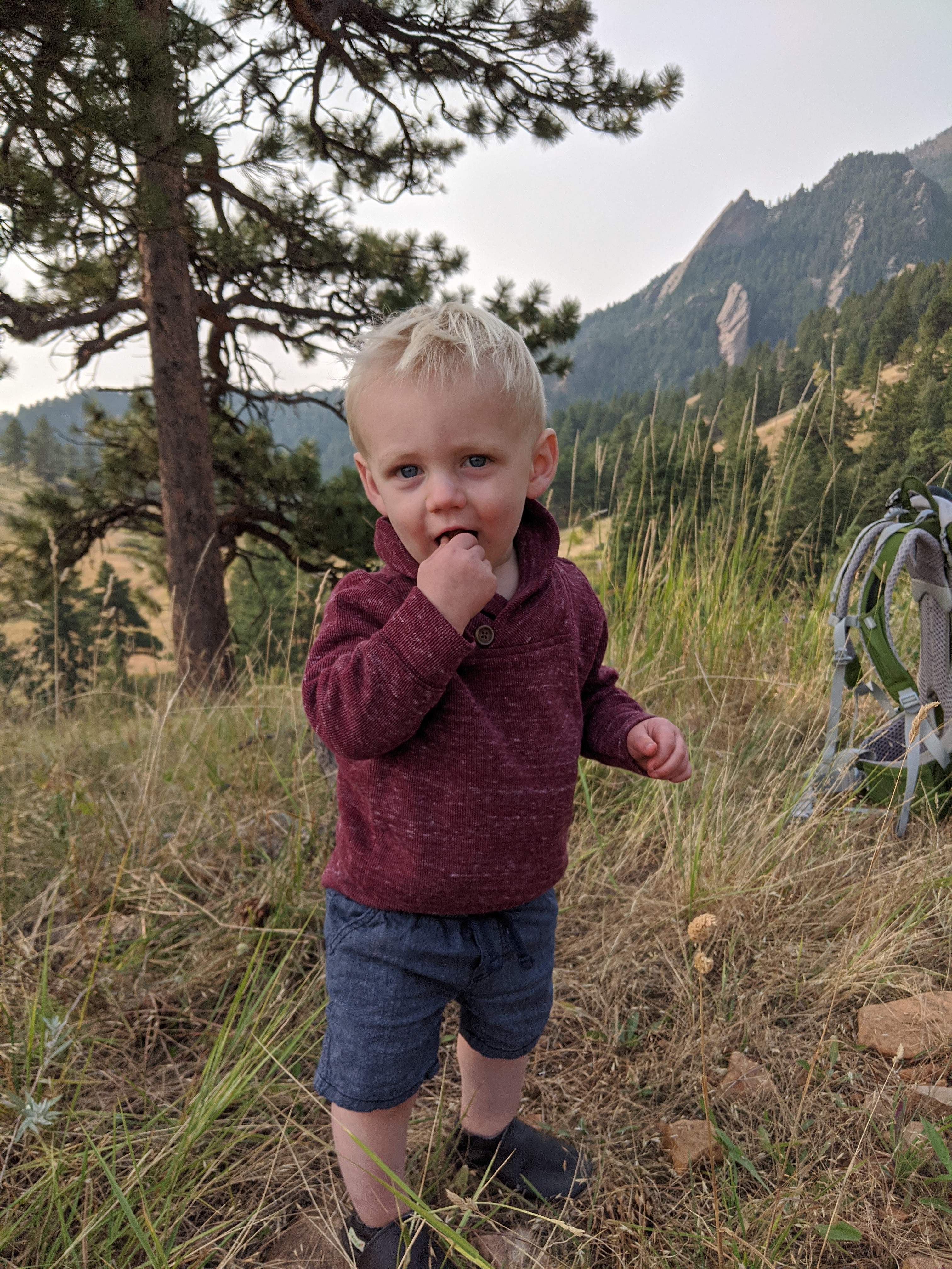 Owen eats a rock.