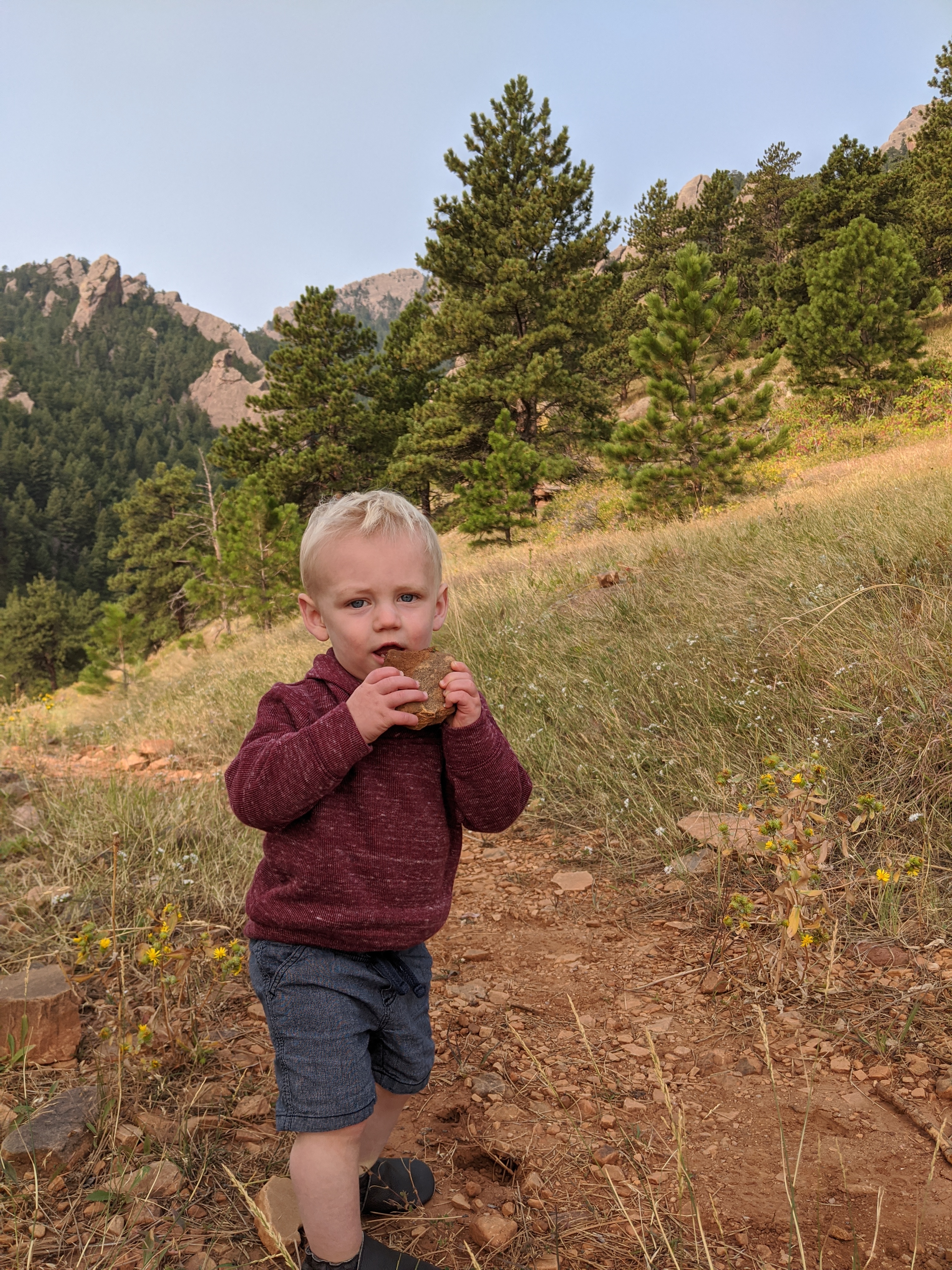 Owen eats a rock.