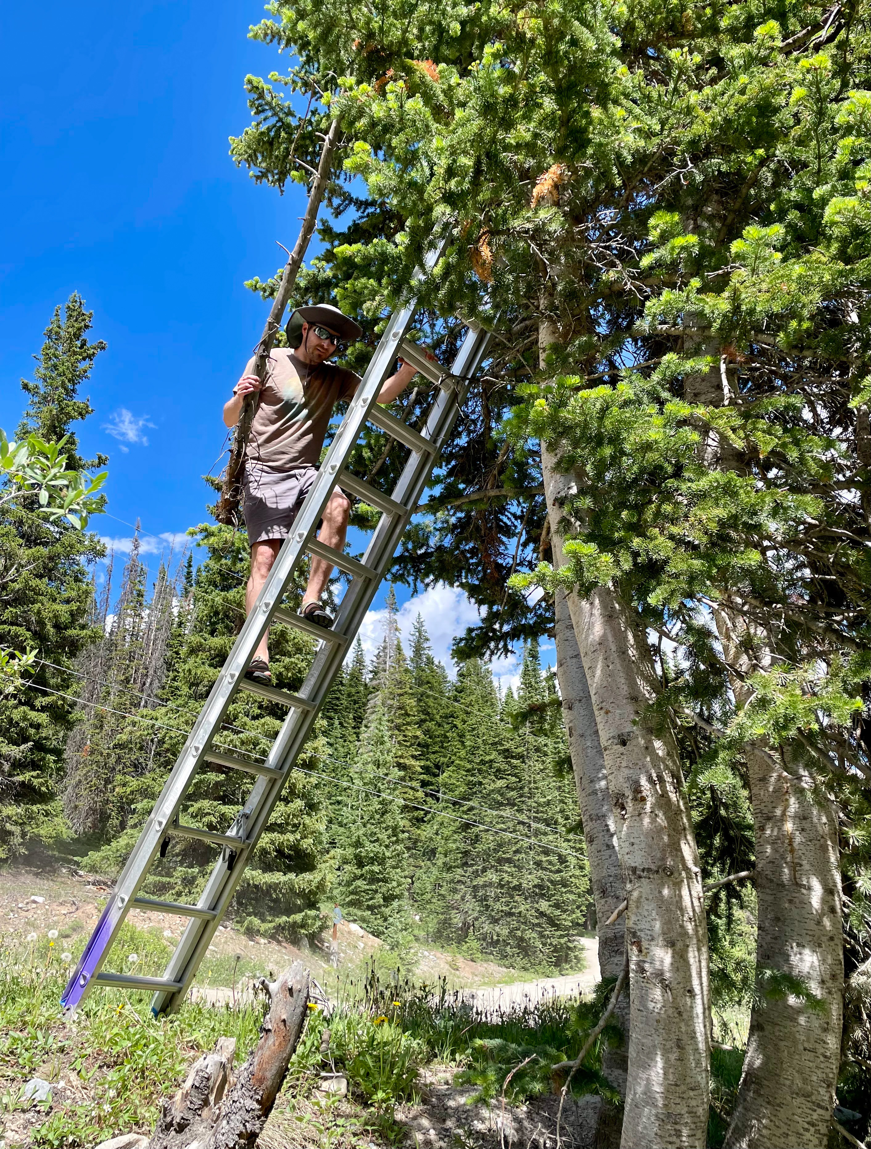 Jeff up a ladder with a stick