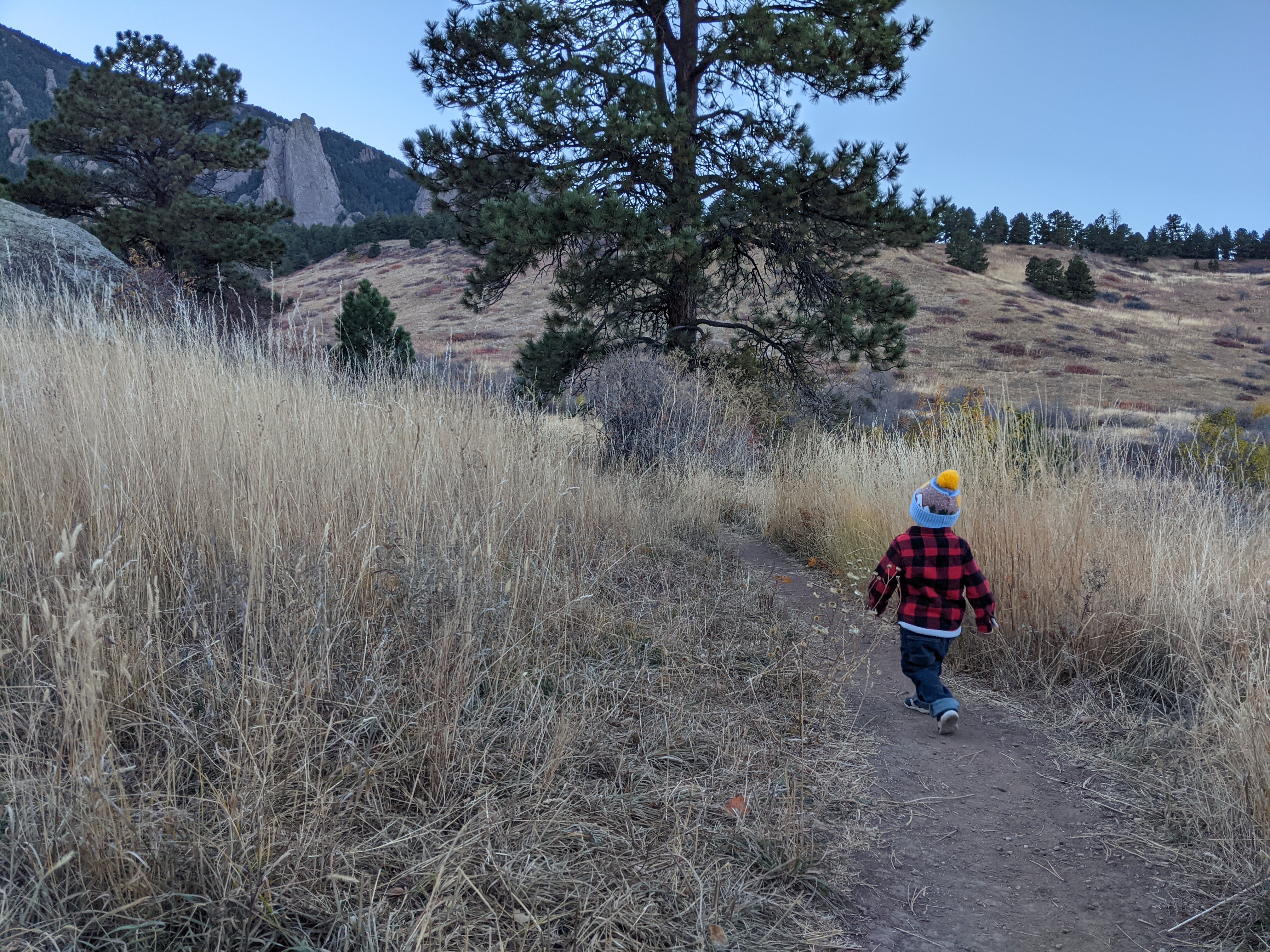 Owen with a stick