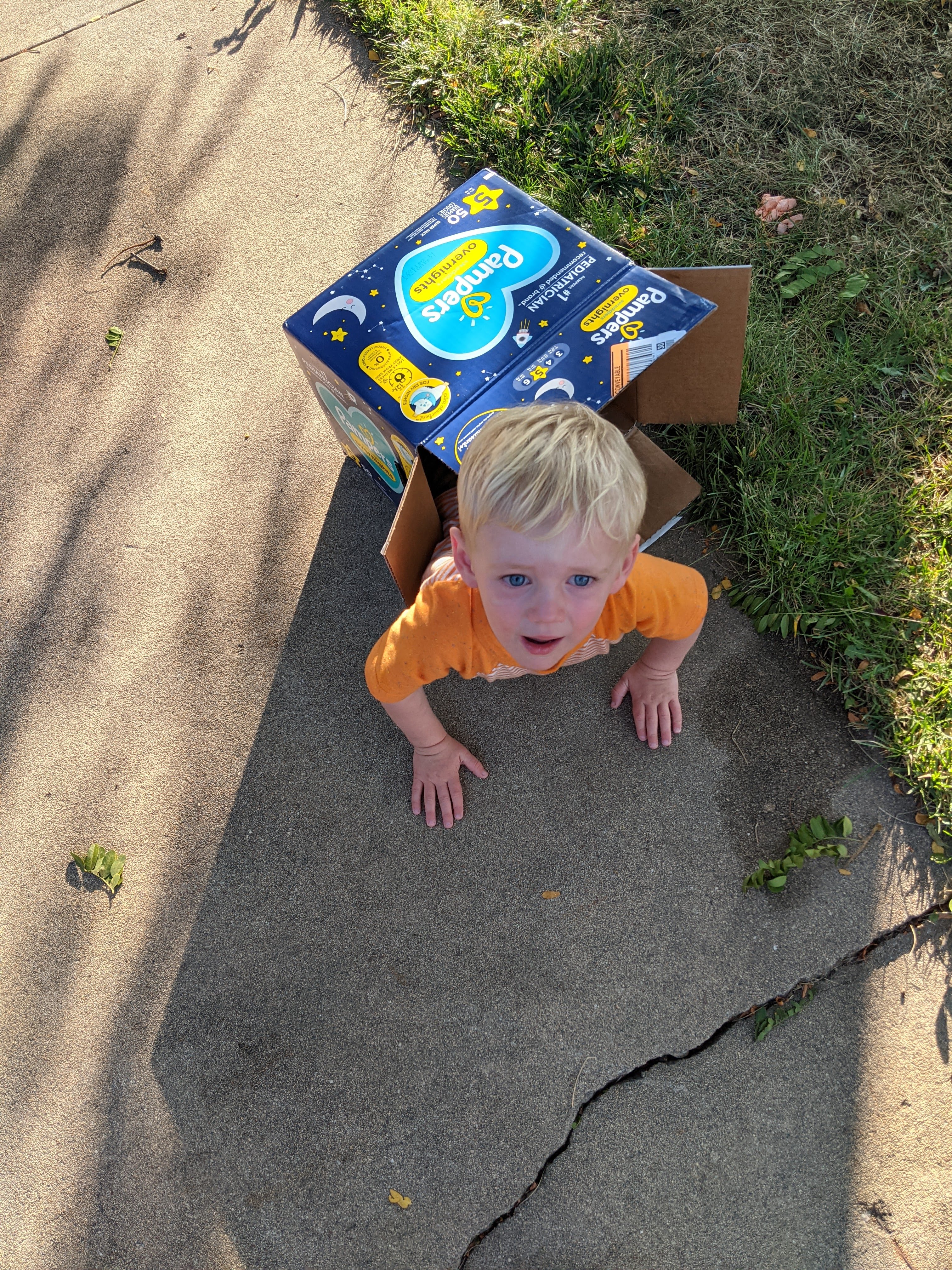 Owen in a box.