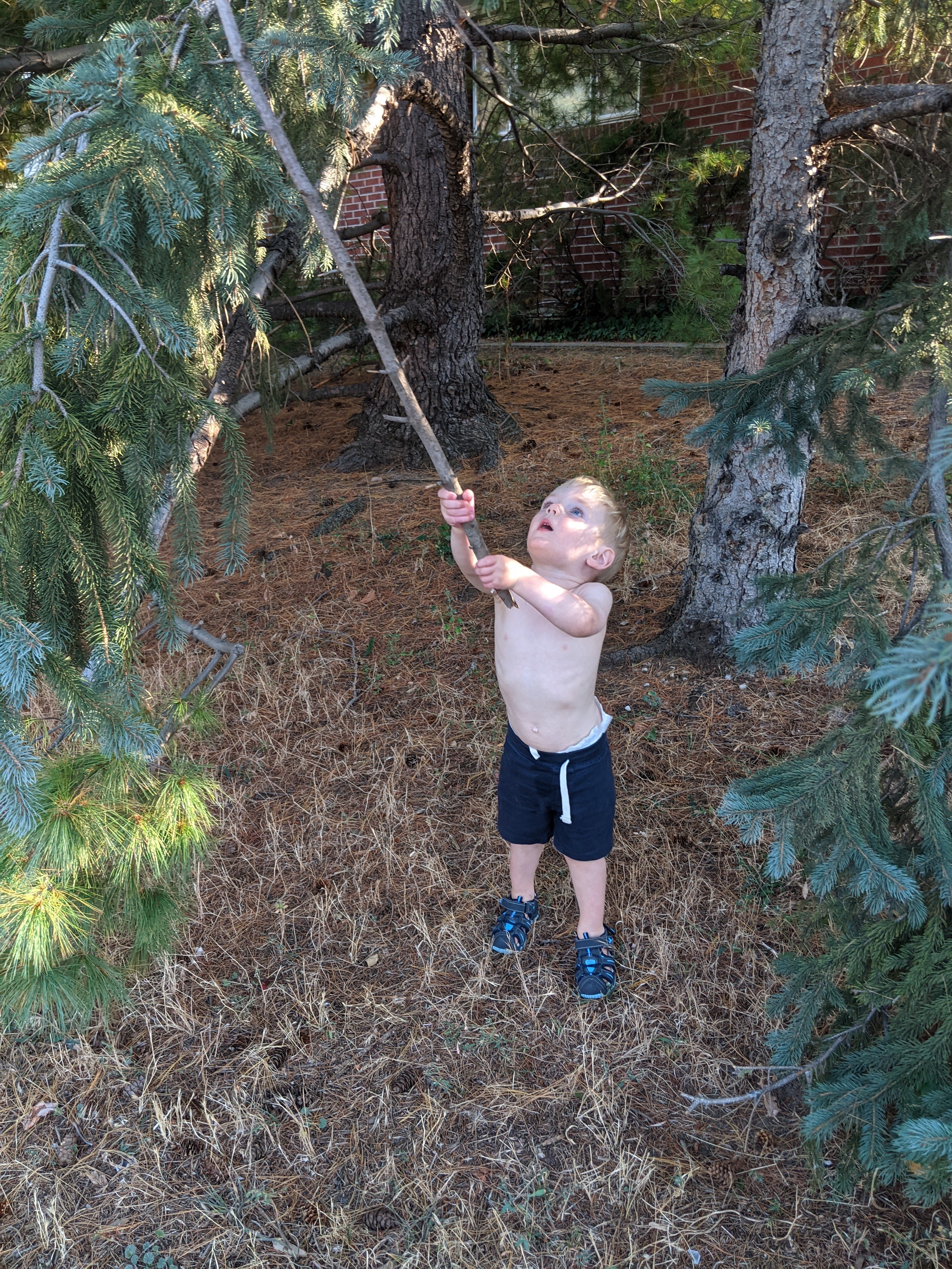 Owen with a stick