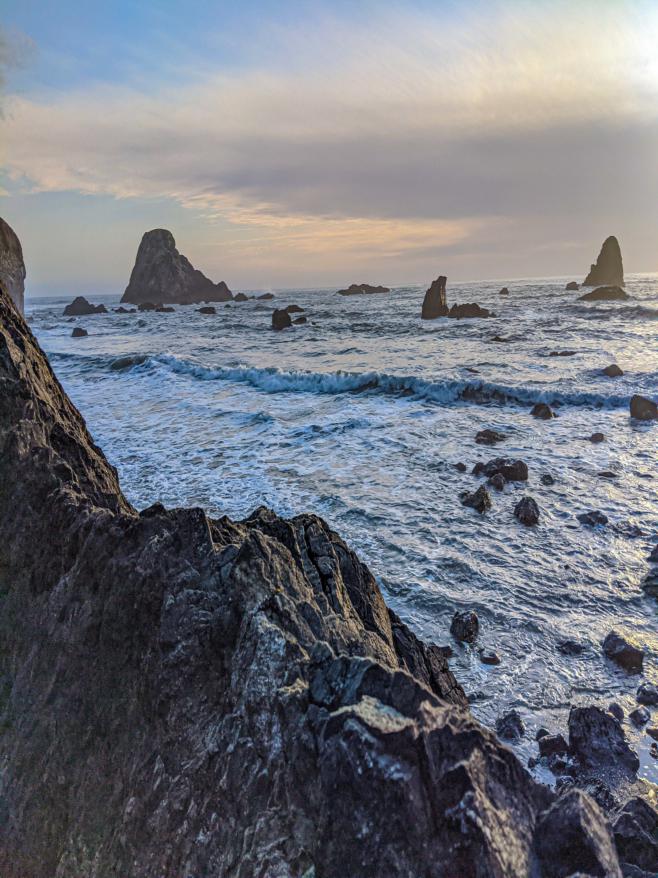 Redwood_Coast-23_resized